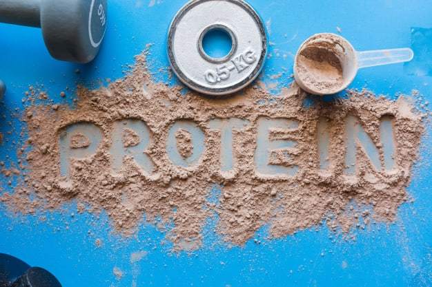 ?חלבון פוגע בכליות - DrawnBody