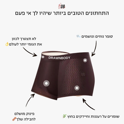 הבוקסר מבד במבוק של DrawnBody