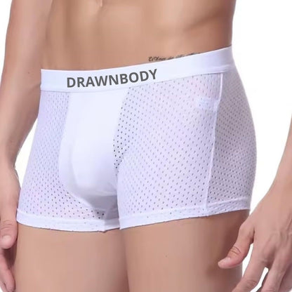 הבוקסר מבד במבוק של DrawnBody