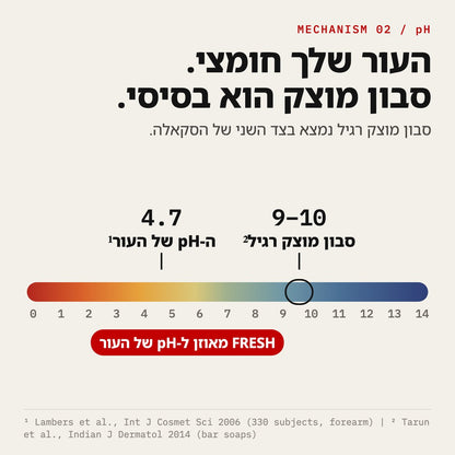 סקאלת pH: העור מול סבון מוצק